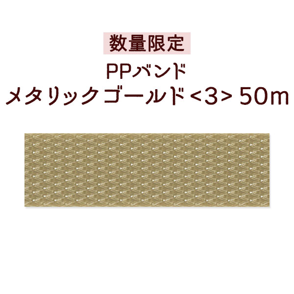 �ڿ��̸��ꡦPP�Х�ɡۥ᥿��å�������ɡ�3��50m