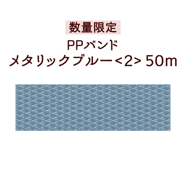 �ڿ��̸��ꡦPP�Х�ɡۥ᥿��å��֥롼��2��50m