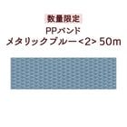 �ڿ��̸��ꡦPP�Х�ɡۥ᥿��å��֥롼��2��50m