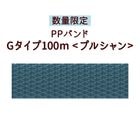�ο��̸��ꡦPP�Х�ɡ�G������100m��ץ륷����