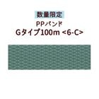 �ο��̸��ꡦPP�Х�ɡ�G������100m��6-C��