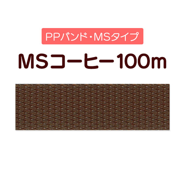 ��PP�Х�ɡ�MS�����ҡ�100m