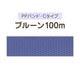 ��PP�Х�ɡ�C�����סեץ롼��100m
