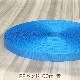 ��PP�Х�ɡ���100m