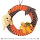 �ӥ��ߥ󥪥��12-10��