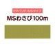 ��PP�Х�ɡ�MS�蘆��100m