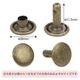 ξ�̥�����20������Ƭ9mm��­11.5mm��-����ƥ�����