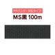 PPХɡMS100m