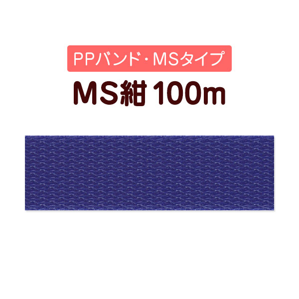 PPХɡMS100m