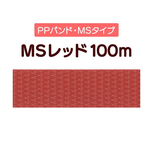 ��PP�Х�ɡ�MS��å�100m