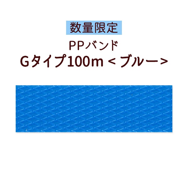 ο̸ꡦPPХɡG100m֥롼