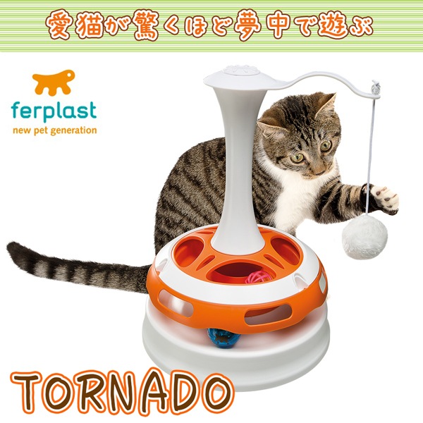 販売価格約¥250,000 イタリア直輸入無垢材 ネコ脚 ガラストップ 販売価格約¥250,000 イタリア直輸入無垢材 ネコ脚 ガラストップ