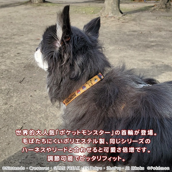 ポケモン カラー S イエロー 犬 猫用 首輪 クビワ 犬 くびわ お出かけ ペットフードとペット用品通販サイトファンタジーワールド