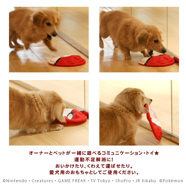 ポケモン ジャンプ モンスターボール S 犬 フリスビー ソフト 折りたためる 犬 玩具 ペットフードとペット用品通販サイトファンタジーワールド ポケモン ジャンプ モンスターボール S 犬 フリスビー ソフト 折りたためる 犬 玩具 ペットフードとペット用品通販サイトファンタジーワールド
