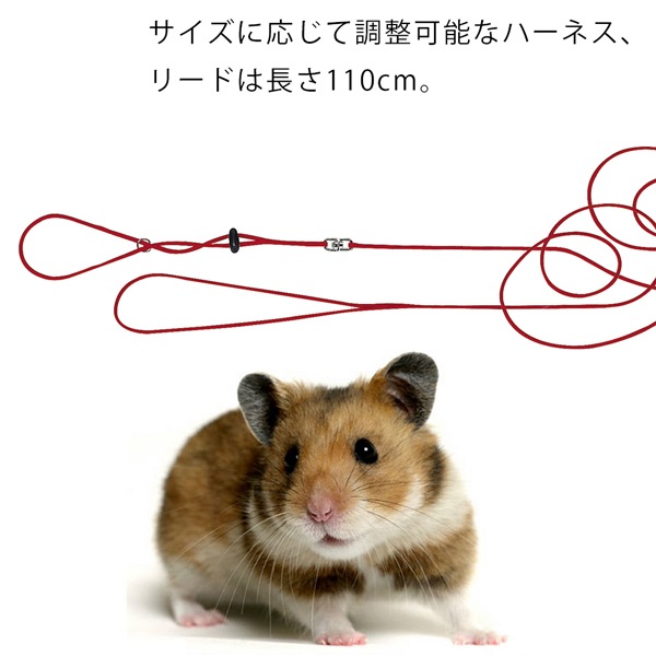 イタリアferplast社製 ハムスター用 ハーネス リード セット Ny Ham Harness さんぽグッズ 散歩用品 お出かけ お散歩グッズ 小動物用 レッド ペットフードとペット用品通販サイトファンタジーワールド イタリアferplast社製 ハムスター用 ハーネス リード セット Ny Ham Harness さんぽグッズ 散歩用品 お出かけ お散歩グッズ 小動物用 レッド ペットフードとペット用品通販サイトファンタジーワールド