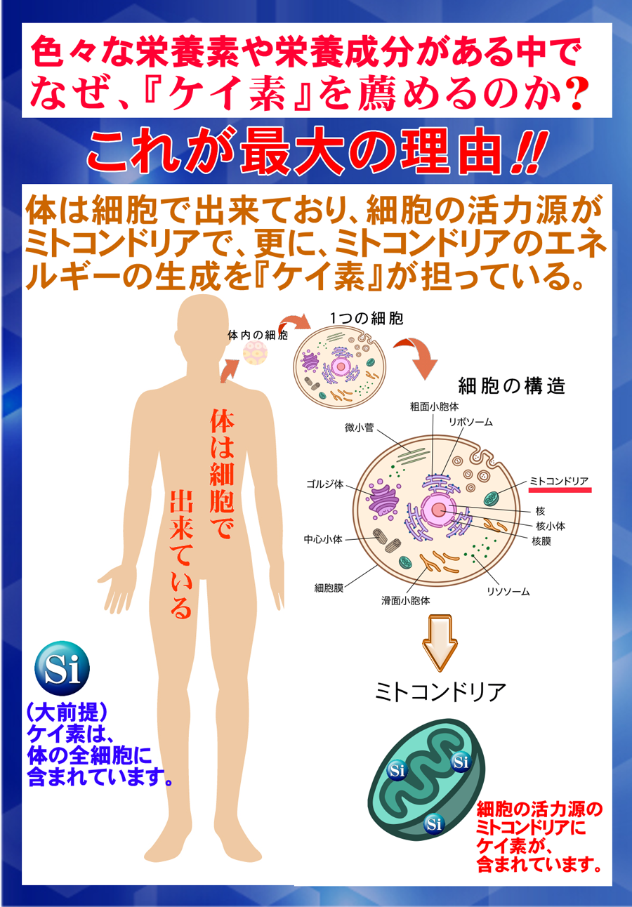 ̾Ǣ䥱ǤΥץ 1ޤǤ1,890ߡڰ¿ι¤100Ǻࡡ̵źåץ 1γ77ӤΥ(ꥫʬ165)ͭ (1ʬ62γ/ޡˢǹ̵ʣåȤϹ˳桪