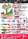 ̾Ǣ䥱ǤΥץ 1ޤǤ1,890ߡڰ¿ι¤100Ǻࡡ̵źåץ 1γ77ӤΥ(ꥫʬ165)ͭ (1ʬ62γ/ޡˢǹ̵ʣåȤϹ˳桪