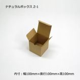 Z-1������100��100��100�˥ʥ�����ܥå�����10��/«��