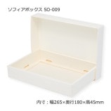 SO-009������265��180��45�˥��ե����ܥå�����10��/«��