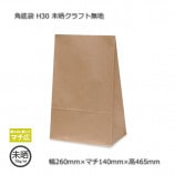 【❣️✨超希少品✨❣️】　尺八　苓峯銘　(袋付) H40（290×140×490）未晒クラフト無地 角底袋【送料無料/代引不可