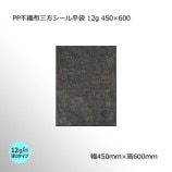 450600 ֥å PPԿۻʿ 12g̵/Բġۡ2000/Ȣ