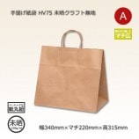 任天堂　エンターテイメント手提げ袋(紙製）　非売品 HV85（360×250×350）未晒クラフト無地 手提げ紙袋【送料無料/代