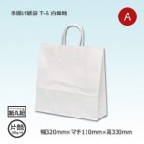 T-Z（220×120×250）白無地/片艶 手提げ紙袋【送料無料/代引不可】（400