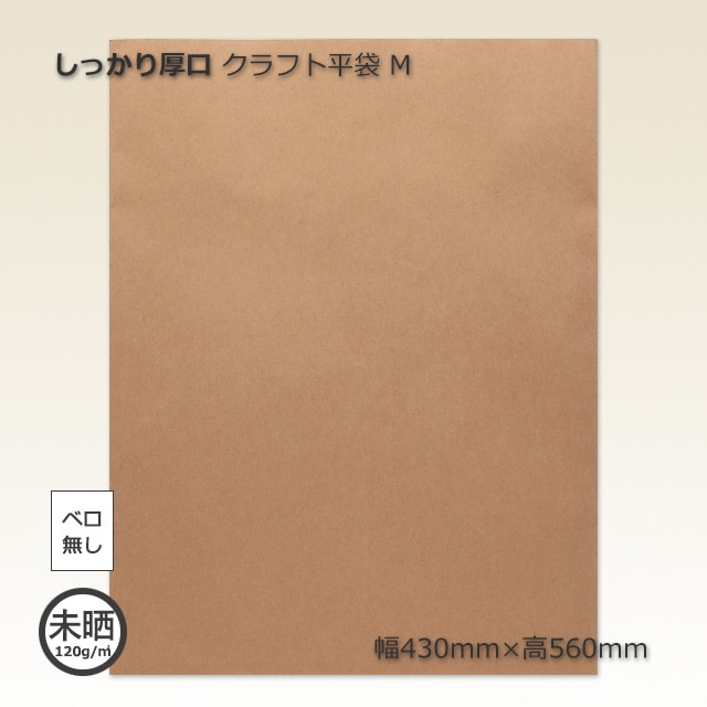 新品未使用Rady 紙袋 角底紙袋】 ハイバッグ H300 未晒 無地 180×105×225(mm) (100枚