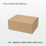 ECO Z-6������300��190��115�˥ʥ�����ܥå�����10��/«��