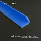 KL7065651700˥ߥʥѡ̵/Բġۡ25/Ȣ