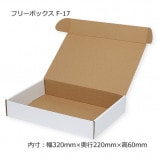 F-1732022060˥ե꡼ܥå10/«