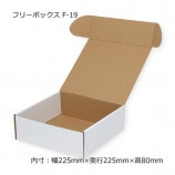 F-1922522580˥ե꡼ܥå10/«