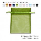 ��10«�ʾ��ò���M��130��170�˥������󥸡��Хå���10��/«����11��