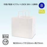 真空包装機　脱気式水タンク付　NL-302S-5WA 新品　未使用 NL-302S-5WA 真空包装機脱気式水タンク付 - SURE STORE