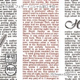 ������ʽ���35g�˥ե��������˥�����¸� Ⱦ�� 757��530��1000��/Ȣ��