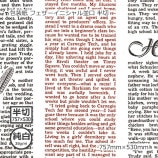 ��2Ȣ�ʾ�����̵����������ʽ���35g�˥ե��������˥�����¸� Ⱦ�� 757��530������Բġۡ�1000��/Ȣ��