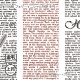 [1«����]������ʾ��60g�˥ե��������˥�����ø� ��Ƚ 1058��757��100��/«��