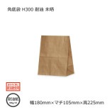 5Ȣʾò۳ H300180105225̤ ̵/Բġۡ1000/Ȣ