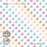 [1«����]������ʾ��64g�˥ϡ��ȥɥ��å� Ⱦ�� 750��528��50��/«��