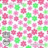 [1«����]������ʽ���35g�˥ߥ˥֥롼�� 757��530��100��/«��