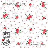 ��2Ȣ�ʾ�����̵����������ʾ��60g�˥��إ������ Ⱦ�� 757��530������Բġۡ�1000��/Ȣ��