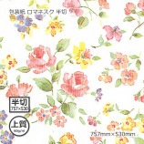 ʾ60g˥ޥͥ Ⱦ 757530Բġۡ1000/Ȣ