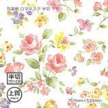 [1«����]������ʾ��60g�˥��ޥͥ��� Ⱦ�� 757��530��100��/«��