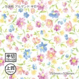 ʾ64g˥ޥ Ⱦ 750528̵/Բġۡ1000/Ȣ