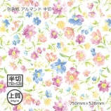 [1«����]������ʾ��64g�˥���ޥ�� Ⱦ�� 750��528��100��/«��