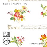 ʥ66.3g˥åե Ⱦ 750528̵/Բġۡ500/Ȣ