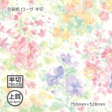 ������ʾ��52.3g�˥����� Ⱦ�� 750��528������̵��/����Բġۡ�1000��/Ȣ��