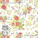 ʥ64g˥ӥ Ⱦ 757530Բġۡ1000/Ȣ