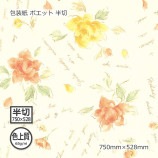 ʿ65g˥ݥå Ⱦ 750528̵/Բġۡ500/Ȣ