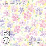 ʥ66.3g˥եƥ Ⱦ 750528̵/Բġۡ500/Ȣ